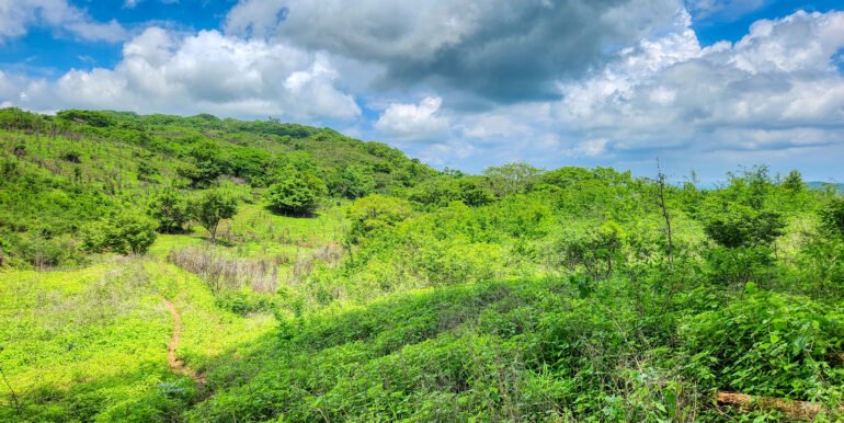 20 Acre Canyon Hills Estate Parcel - Image 10