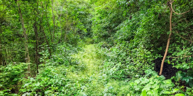 46 acres, Ocean Views, El Baston, SJDS - Image 10