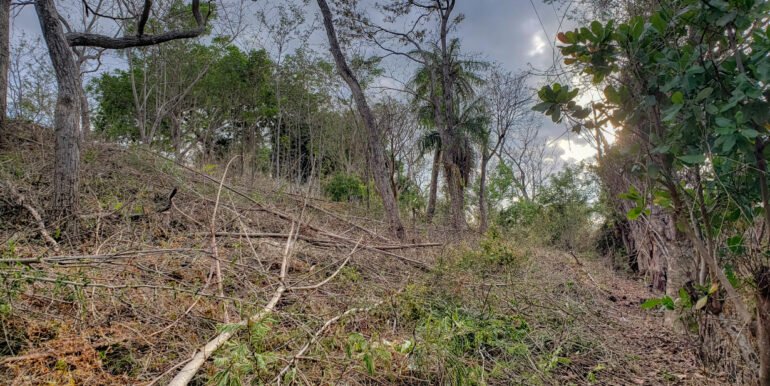 Jungle Cool, 4km to the Beach, but mere steps to Pool - Image 10