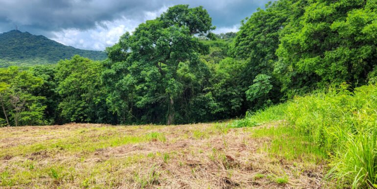 Double Lot, Half Price Ocean & Mountain Views - Image 10