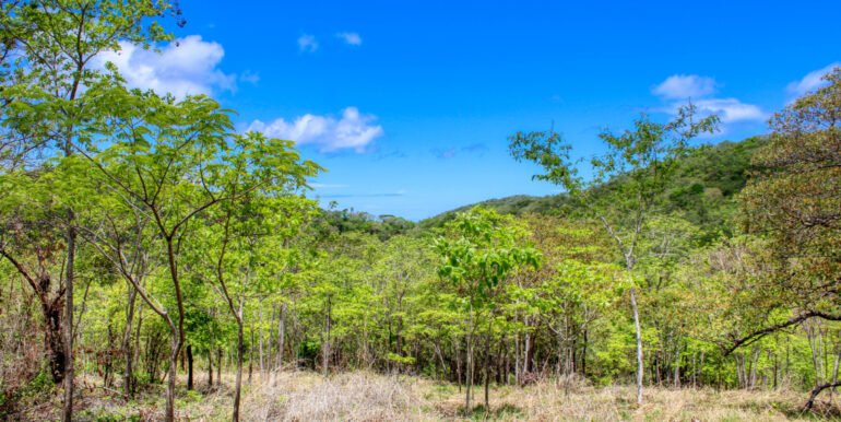 2.5 acres Nature’s Paradise, Las Fincas Lot 20 - Image 10