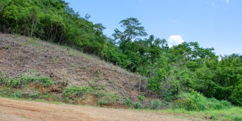 Dream ocean view lot, BARGAIN in Paradise Bay! - Image 10