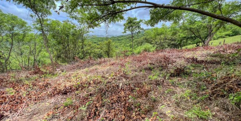 Natural Paradise Views @ Arriba Verde Lot 29 - Image 11
