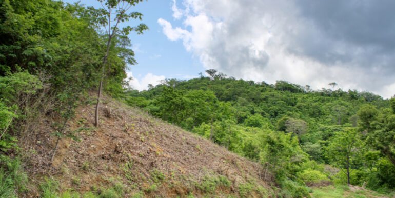 Dream ocean view lot, BARGAIN in Paradise Bay! - Image 11