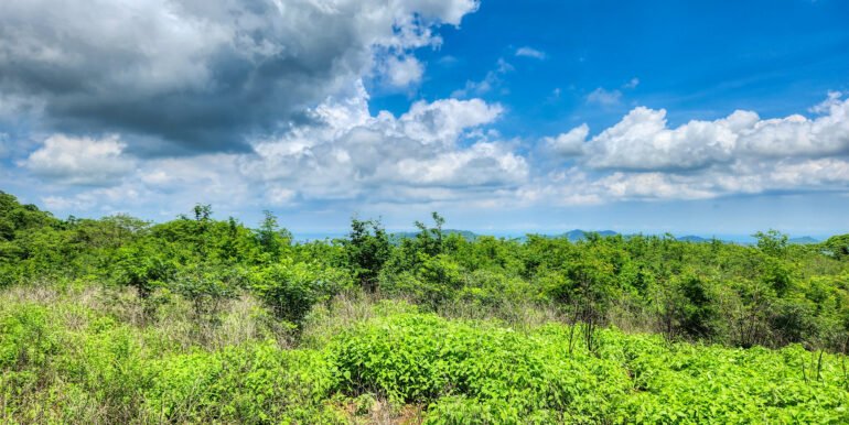 20 Acre Canyon Hills Estate Parcel - Image 12