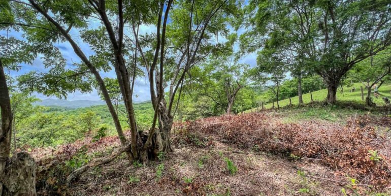 Natural Paradise Views @ Arriba Verde Lot 29 - Image 12