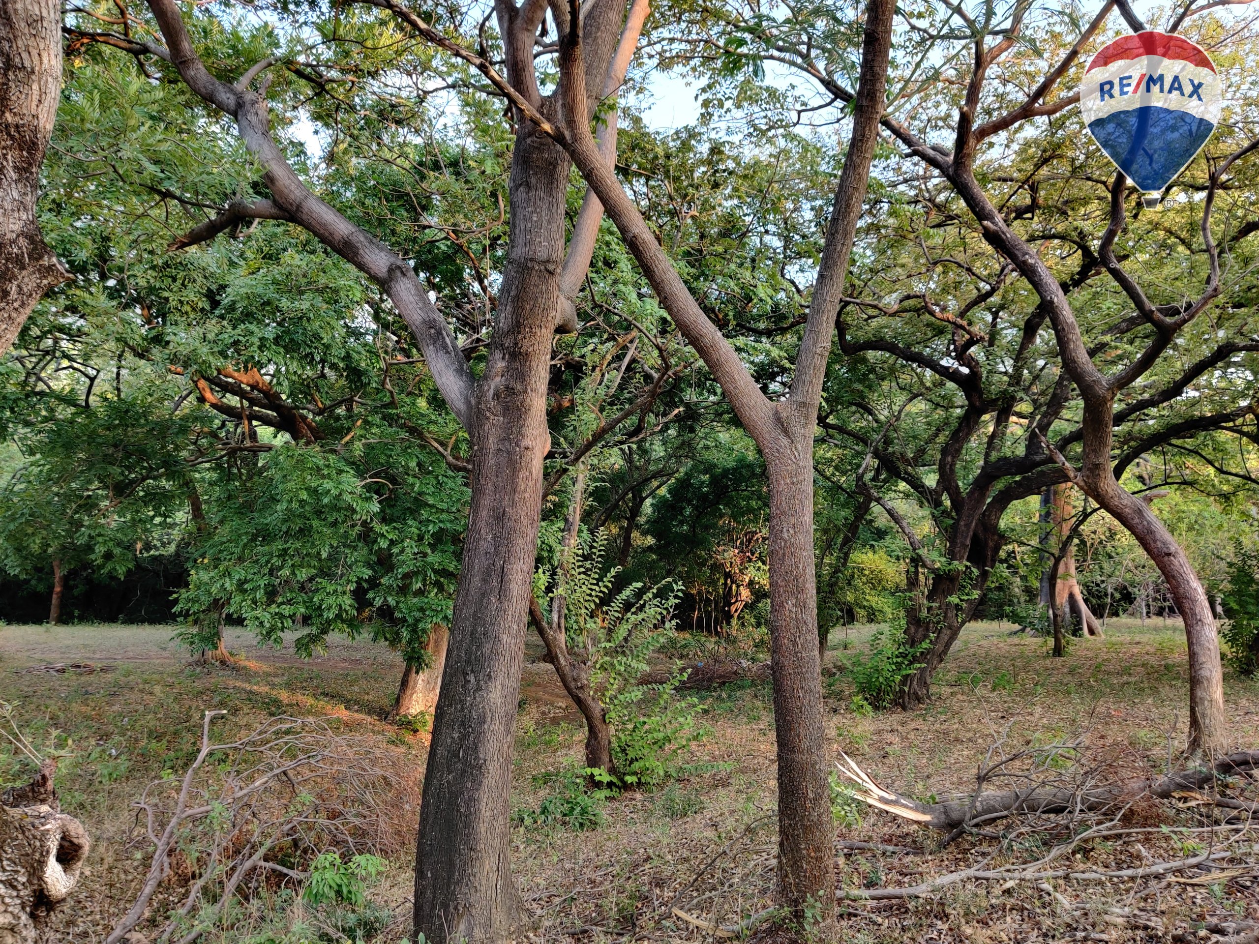 2.12 Manzanas Property with River - Image 16