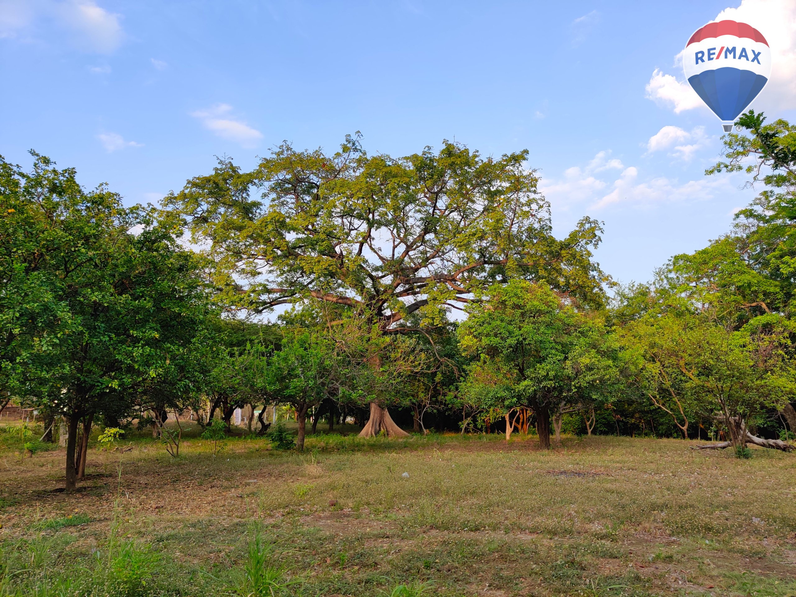 2.12 Manzanas Property with River - Image 11