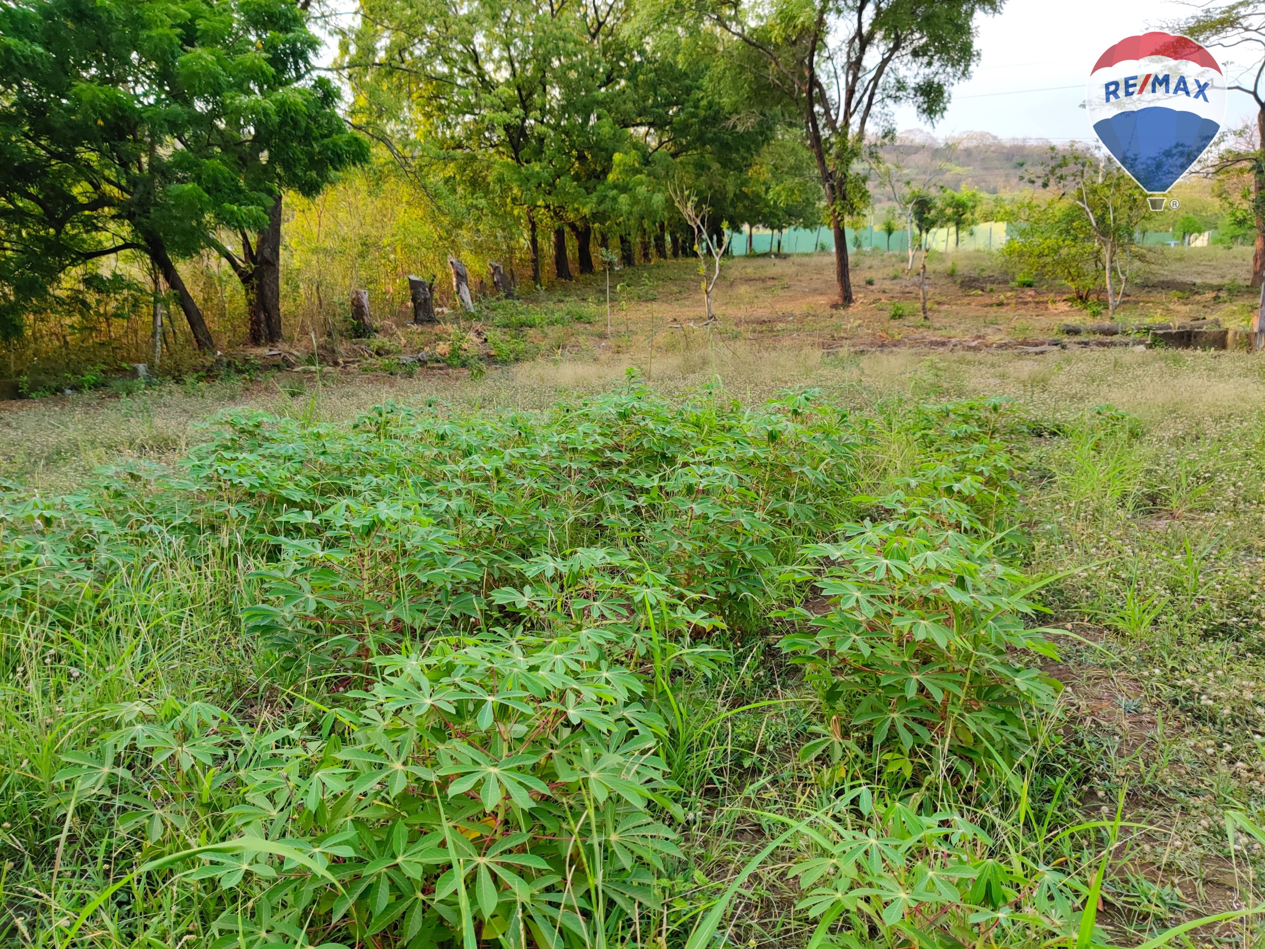 2.12 Manzanas Property with River - Image 10