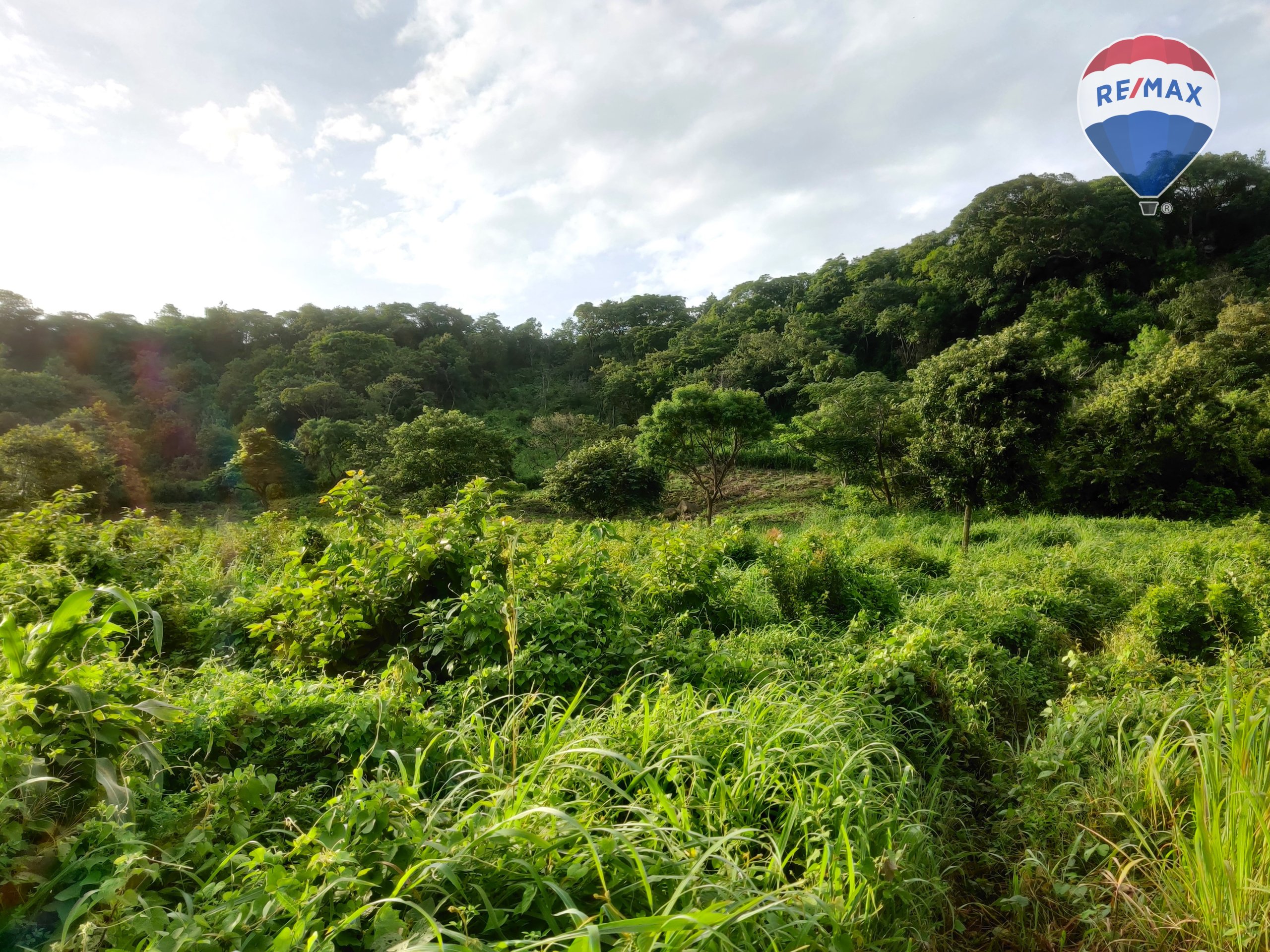 33 Acres of Prime Farmland - Image 10