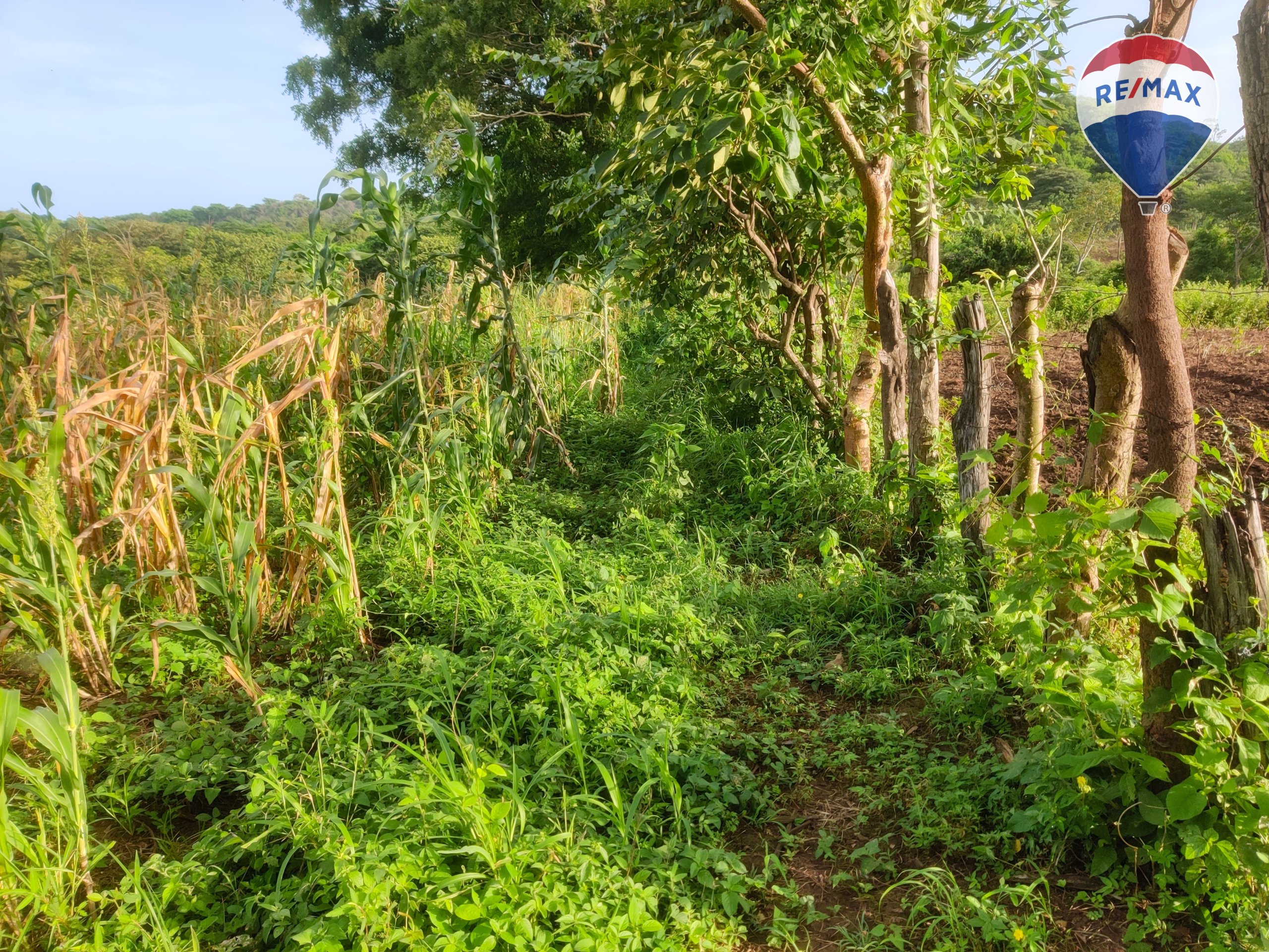 33 Acres of Prime Farmland - Image 12