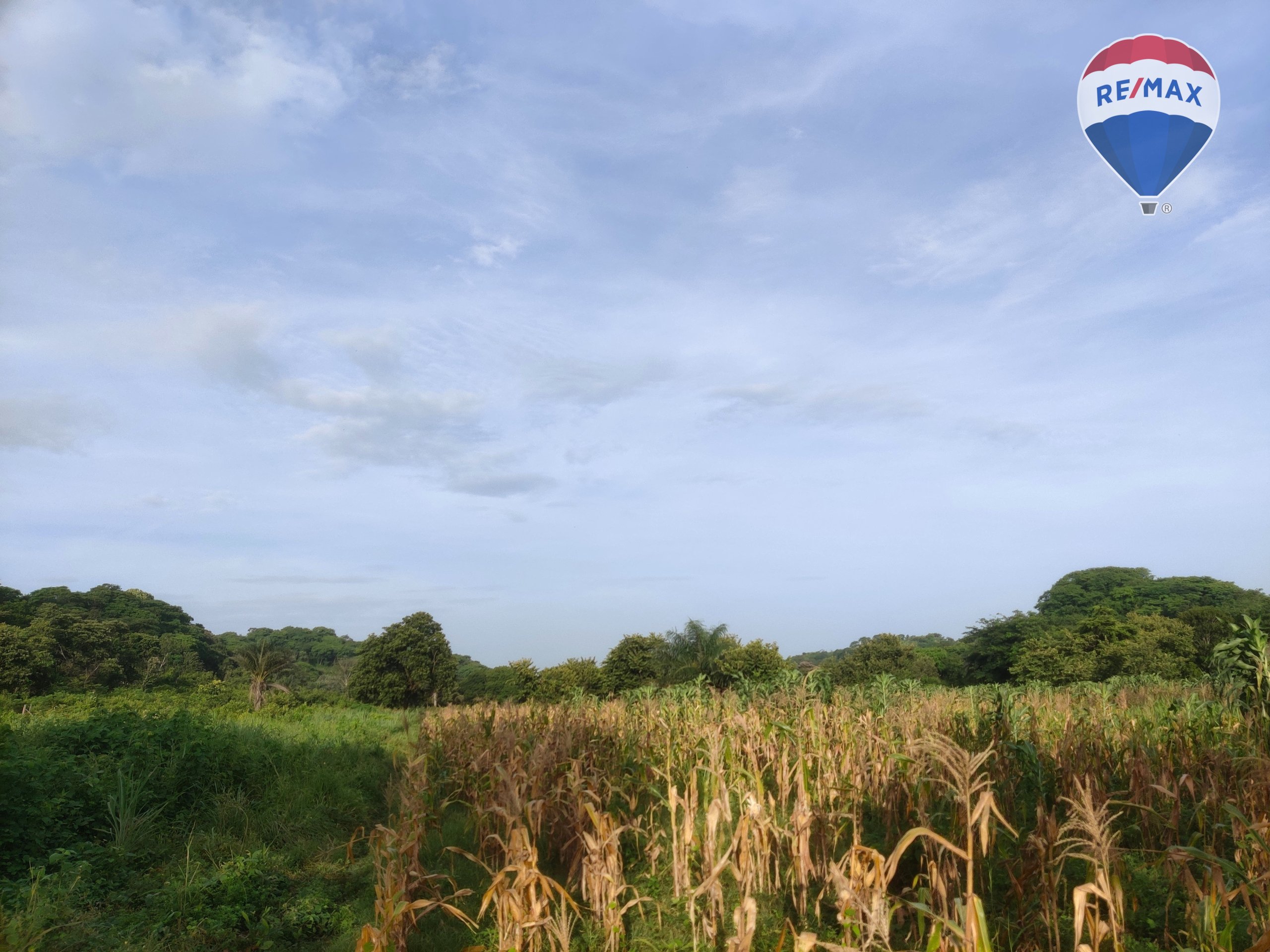 33 Acres of Prime Farmland - Image 13