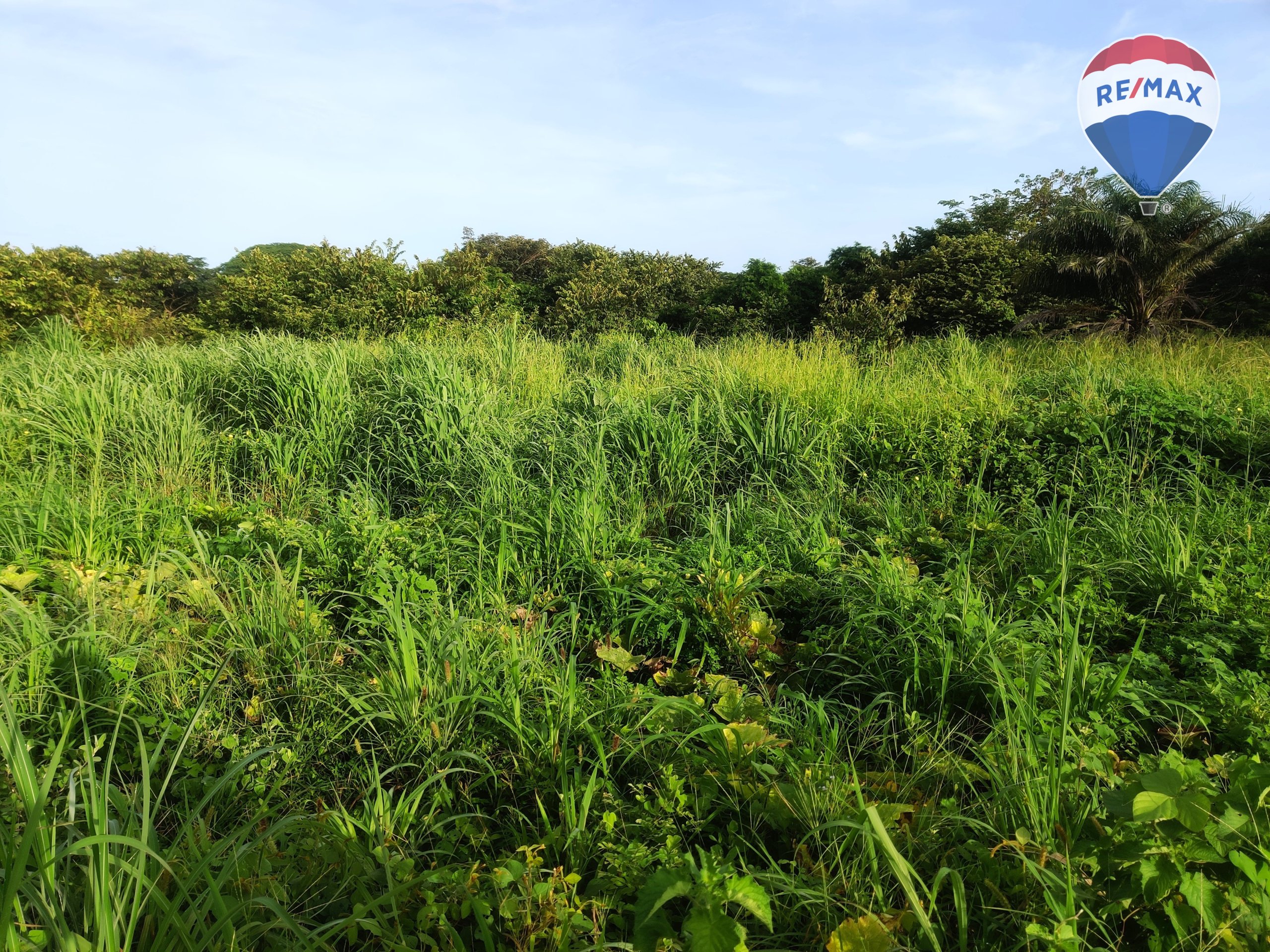33 Acres of Prime Farmland - Image 15