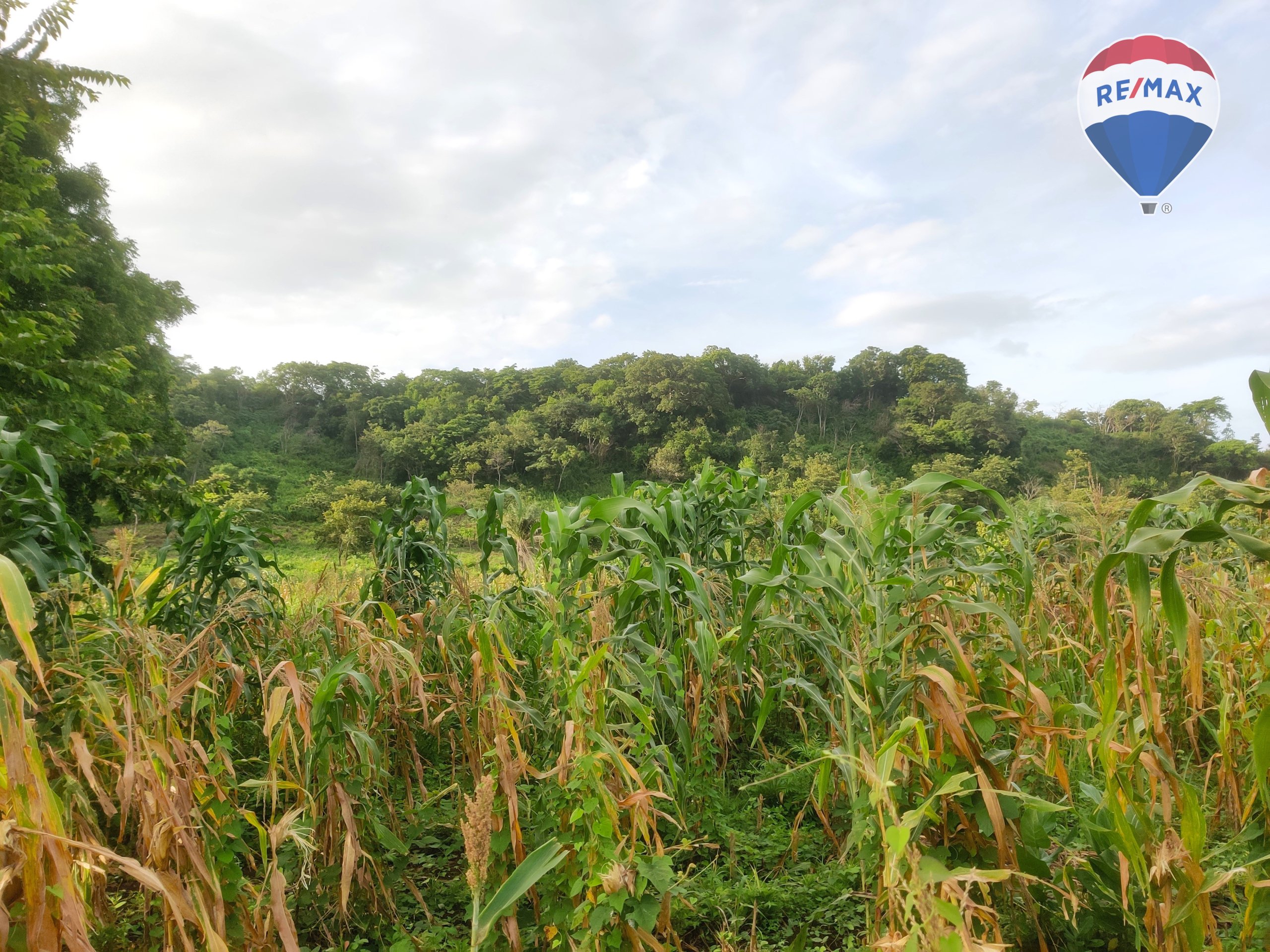 33 Acres of Prime Farmland - Image 18