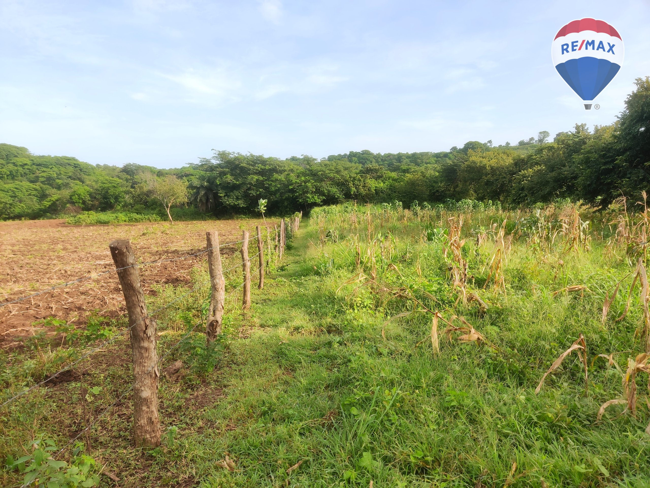 33 Acres of Prime Farmland - Image 19