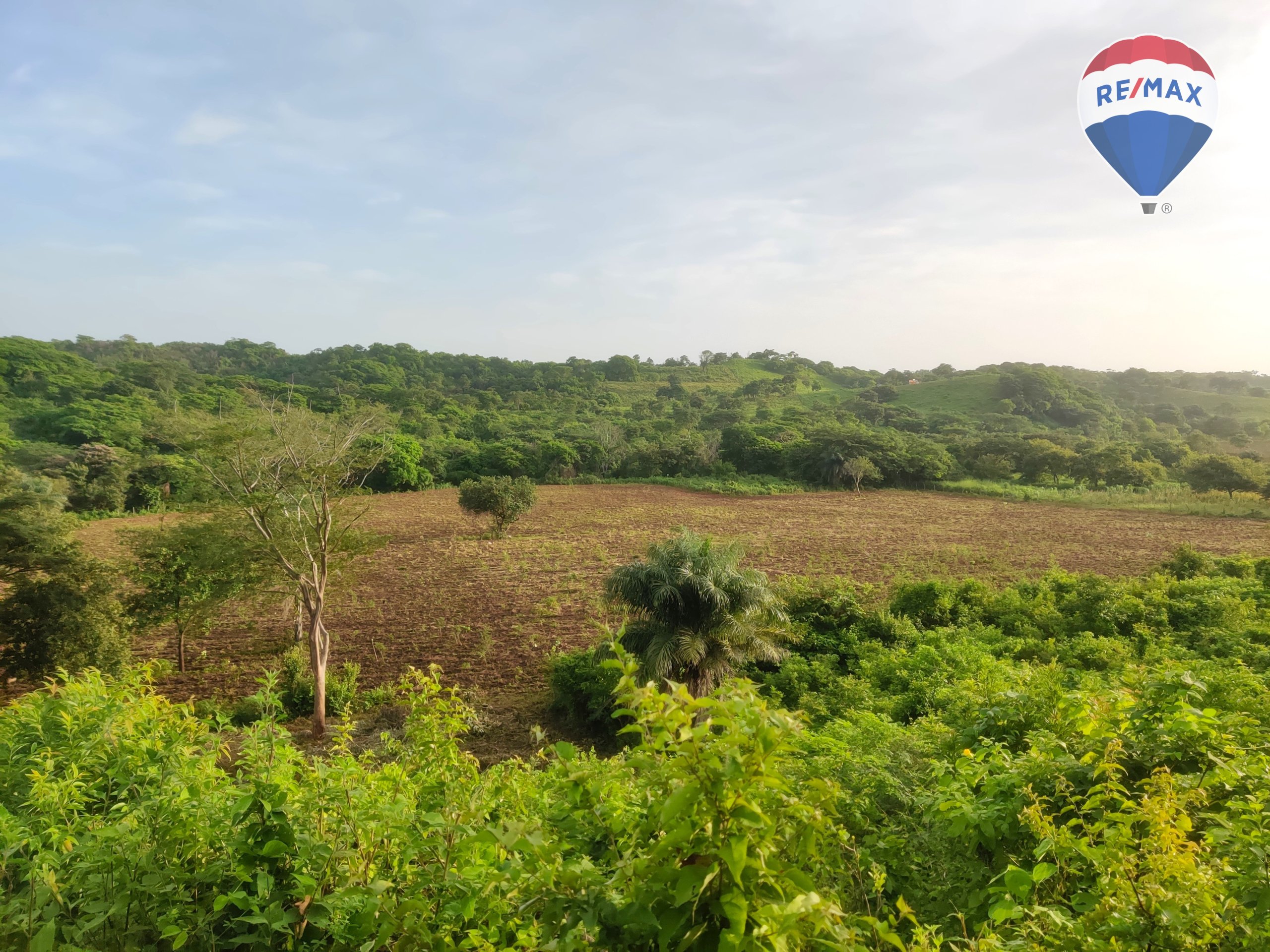 33 Acres of Prime Farmland - Image 2