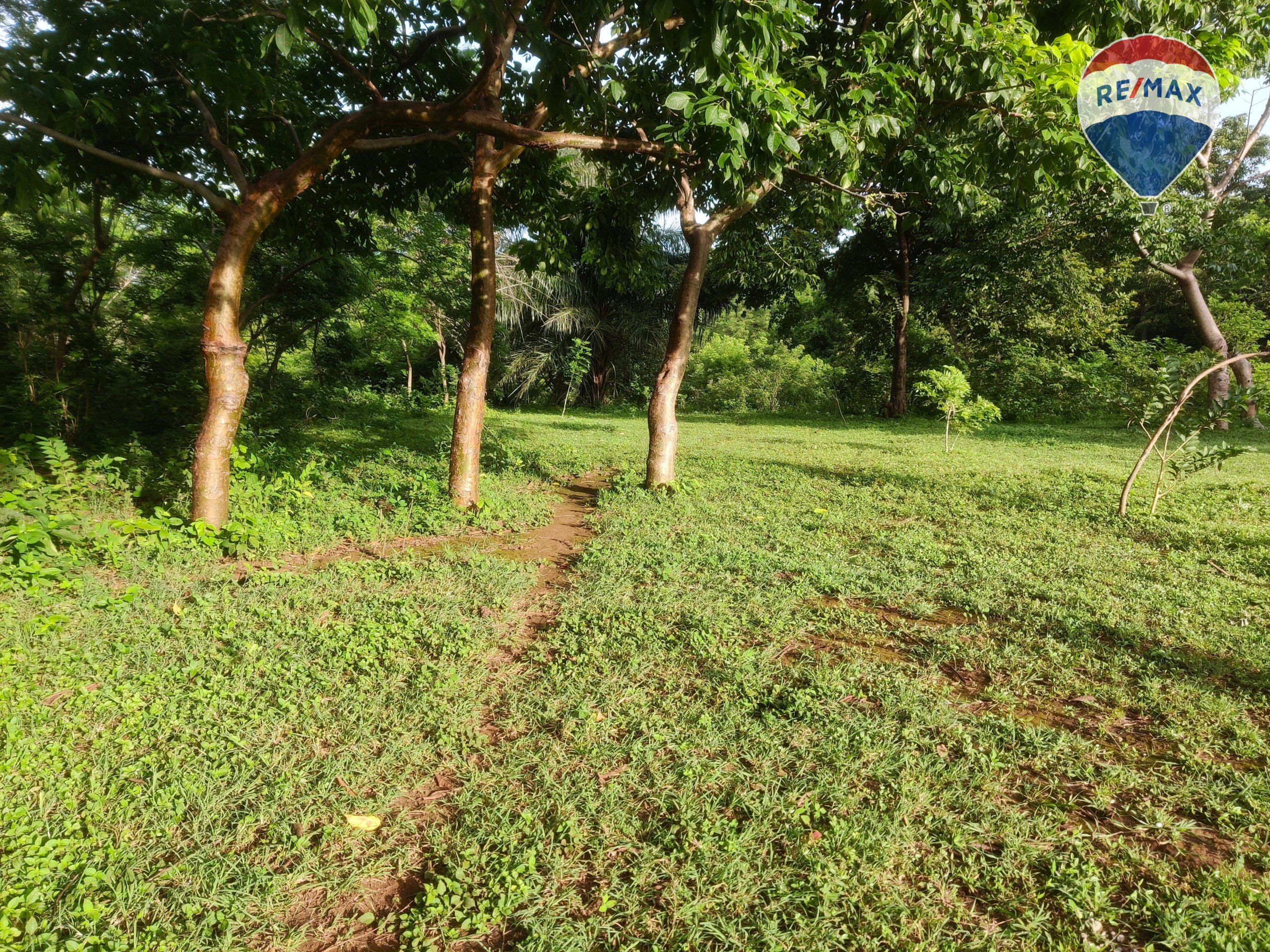 33 Acres of Prime Farmland - Image 20