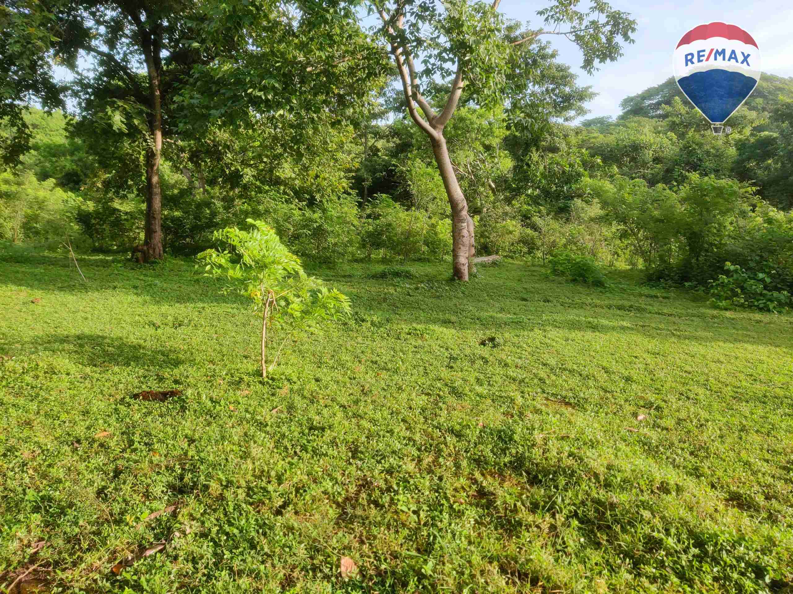 33 Acres of Prime Farmland - Image 21