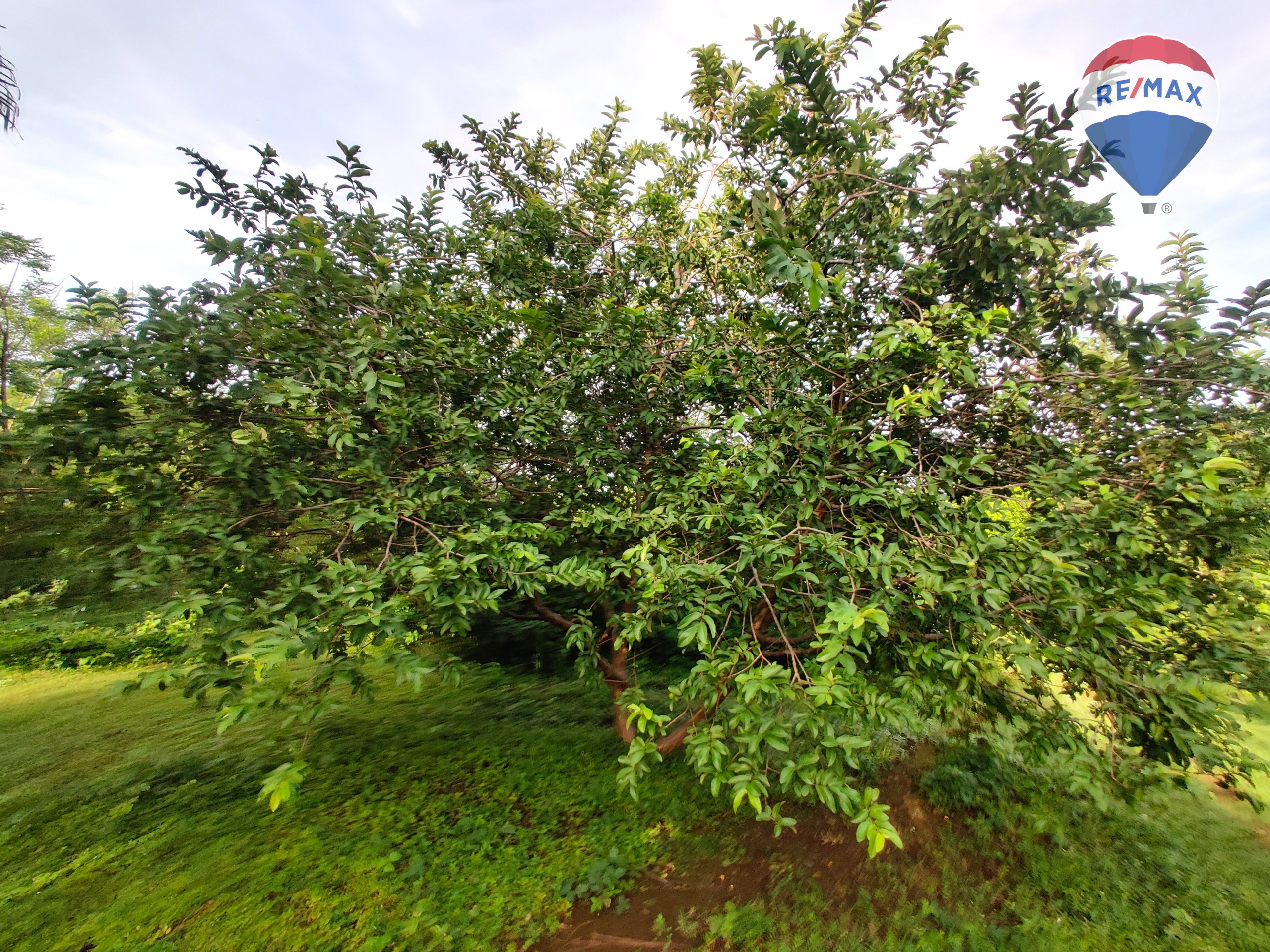 33 Acres of Prime Farmland - Image 22