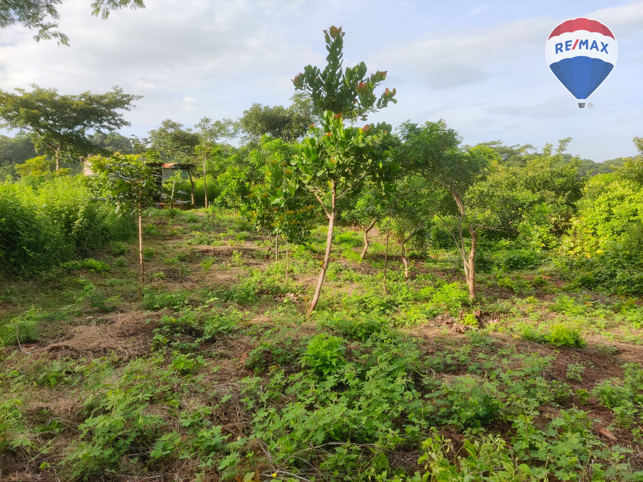 33 Acres of Prime Farmland - Image 23