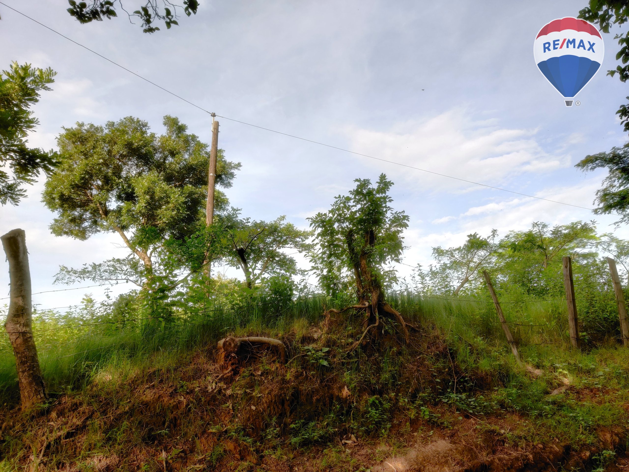 33 Acres of Prime Farmland - Image 30
