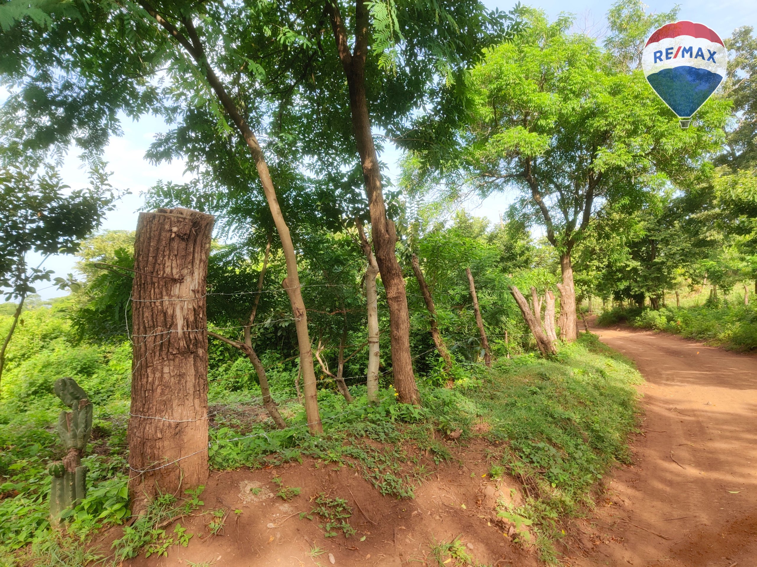 33 Acres of Prime Farmland - Image 32