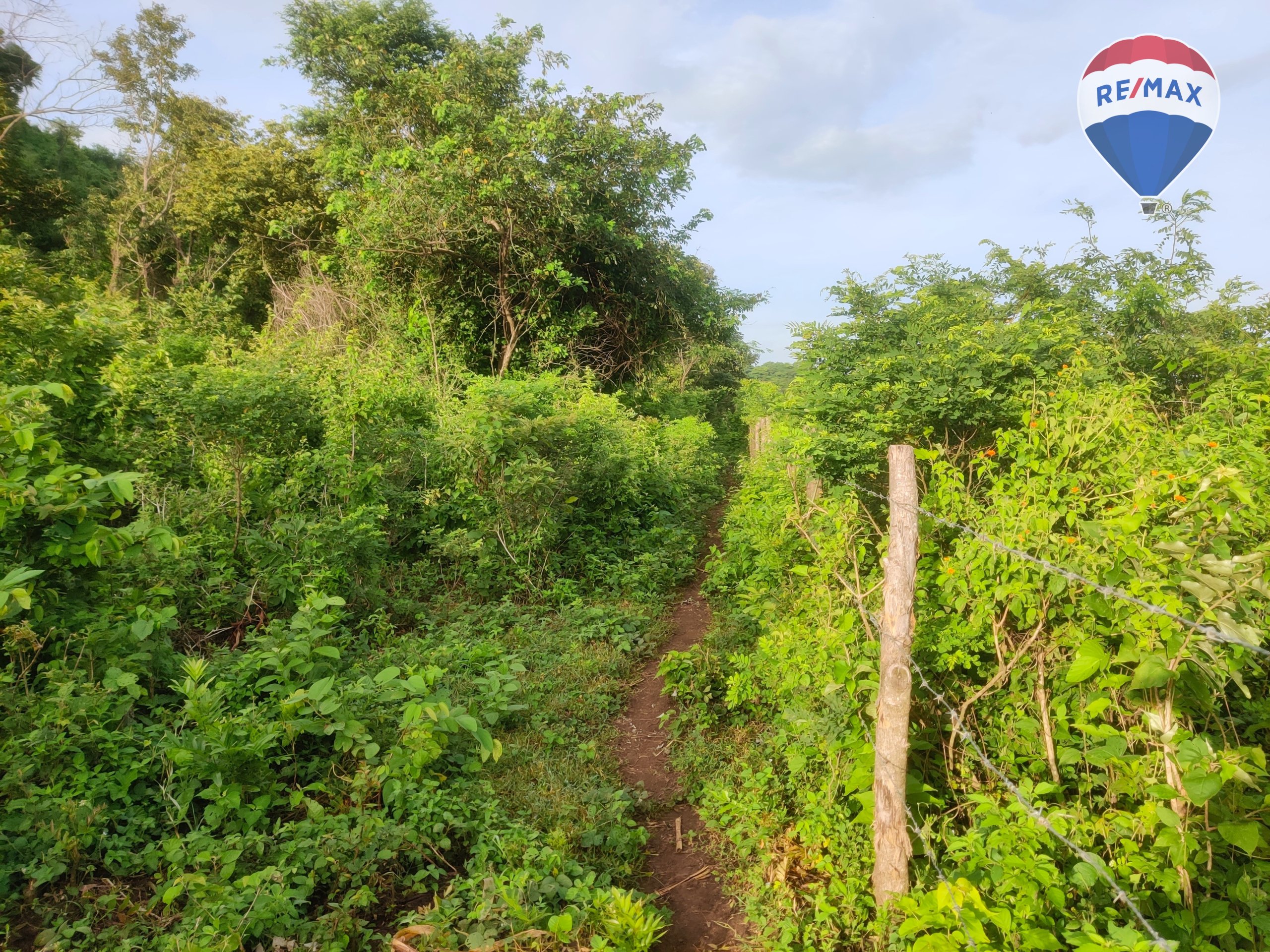 33 Acres of Prime Farmland - Image 5