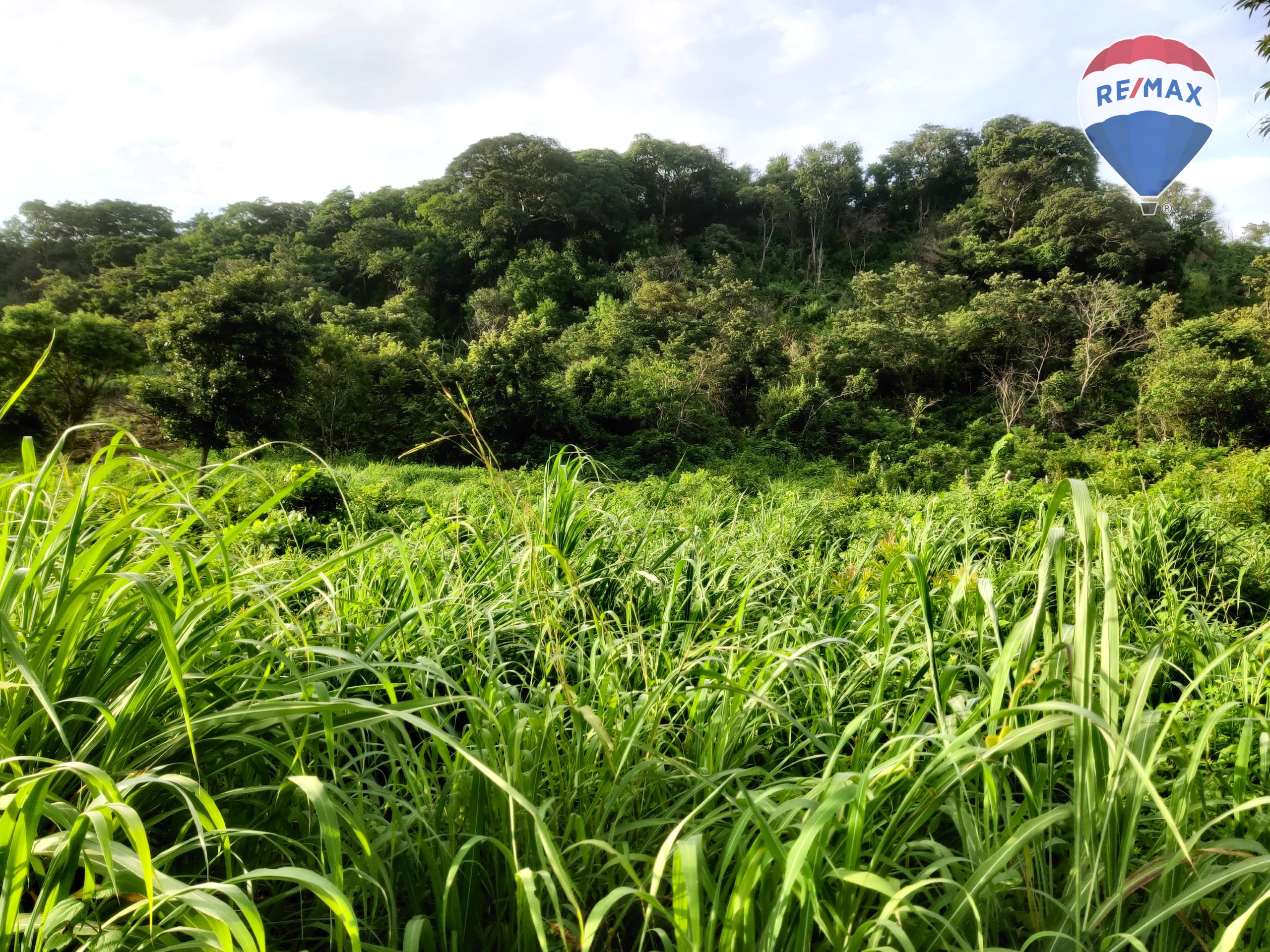 33 Acres of Prime Farmland - Image 8