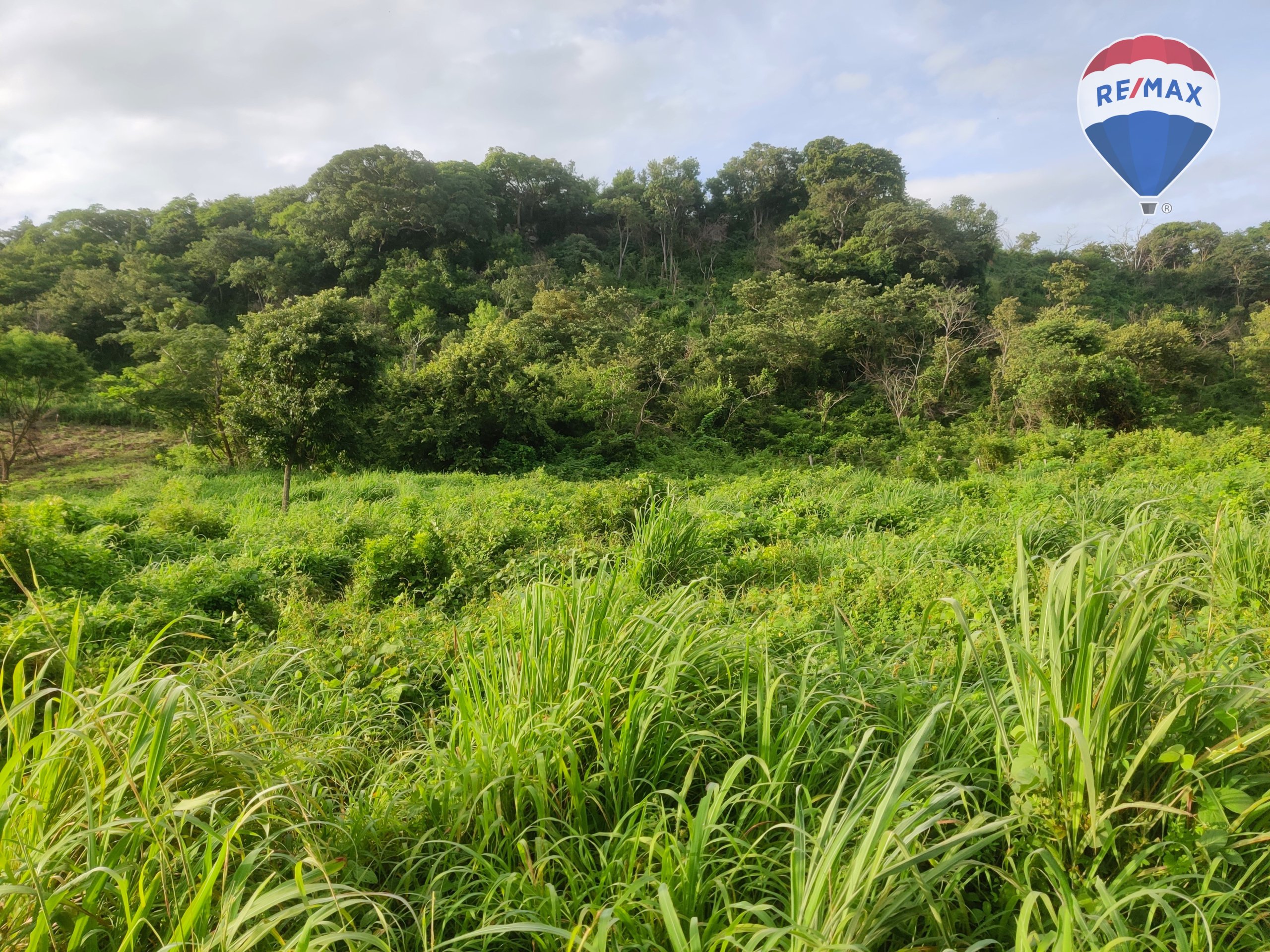 33 Acres of Prime Farmland - Image 9