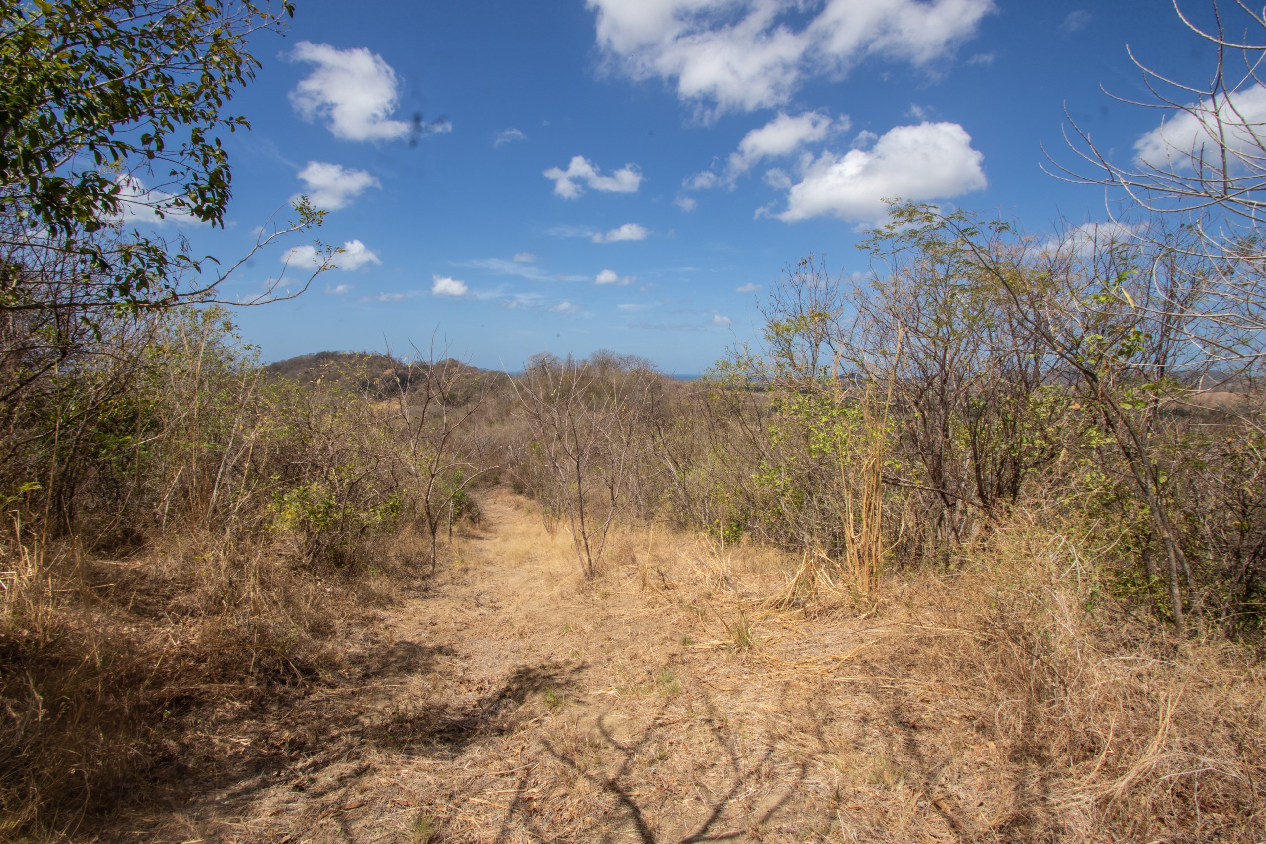 172 Acres close to Popoyo Beach
