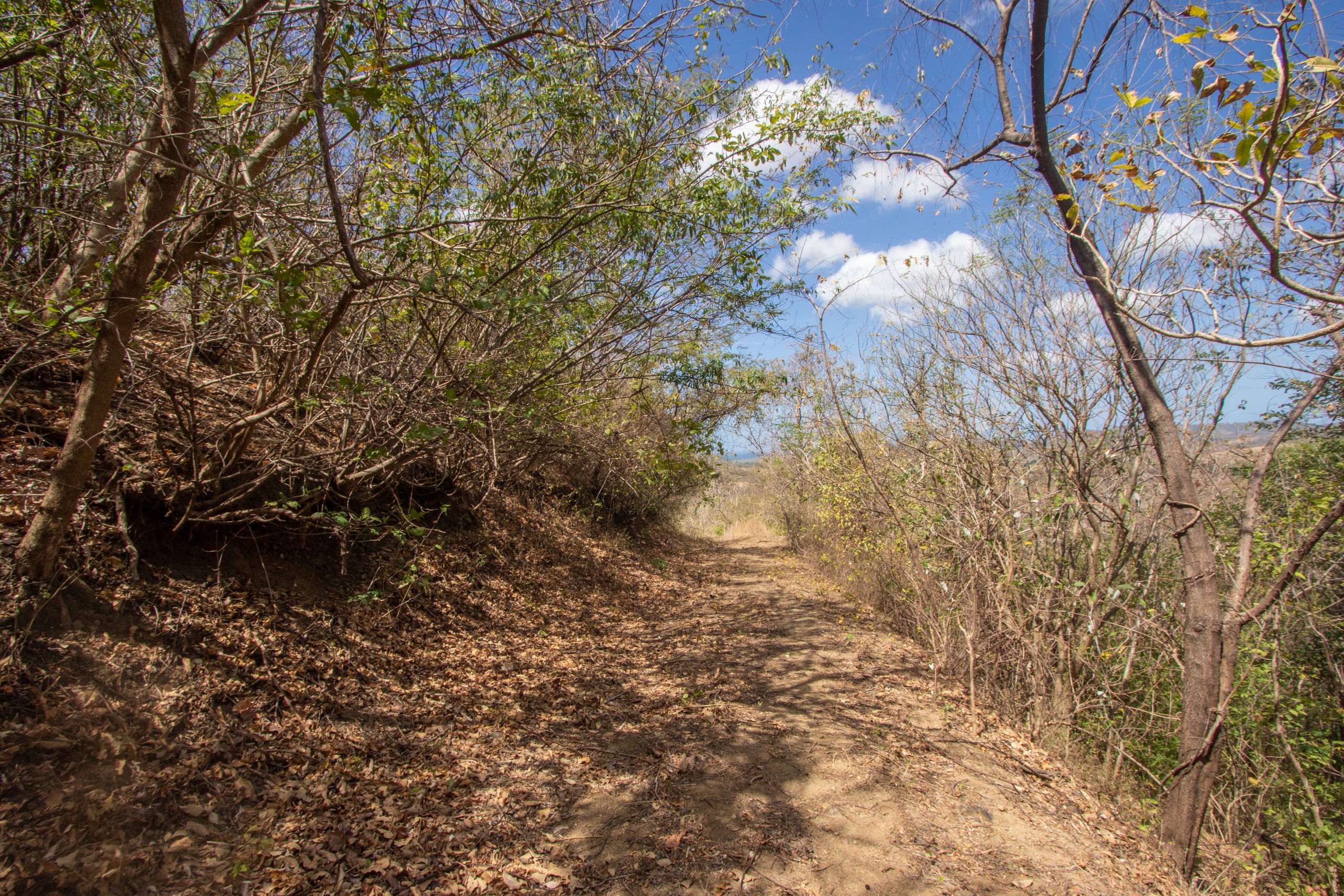 172 Acres close to Popoyo Beach - Image 2