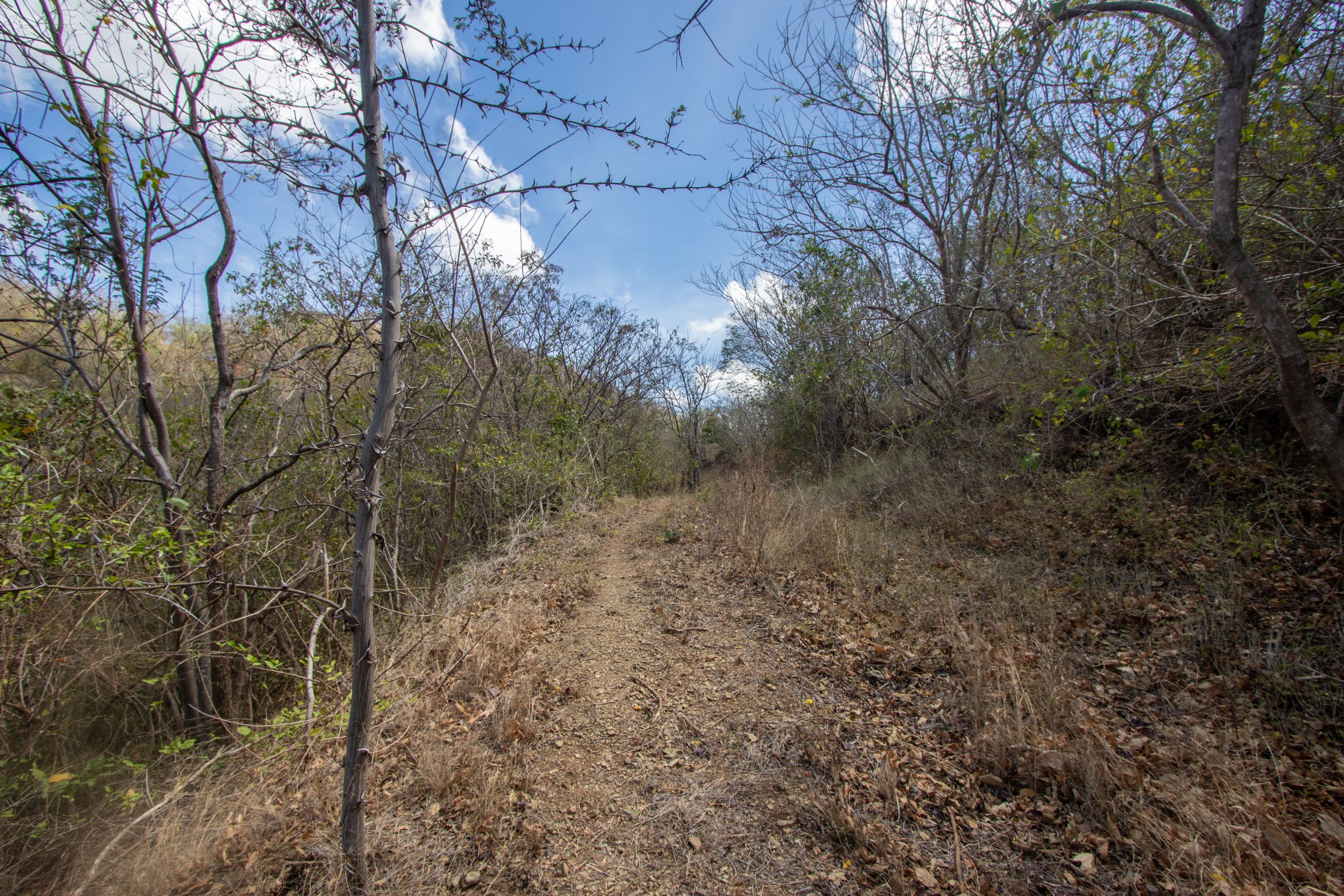 172 Acres close to Popoyo Beach - Image 3