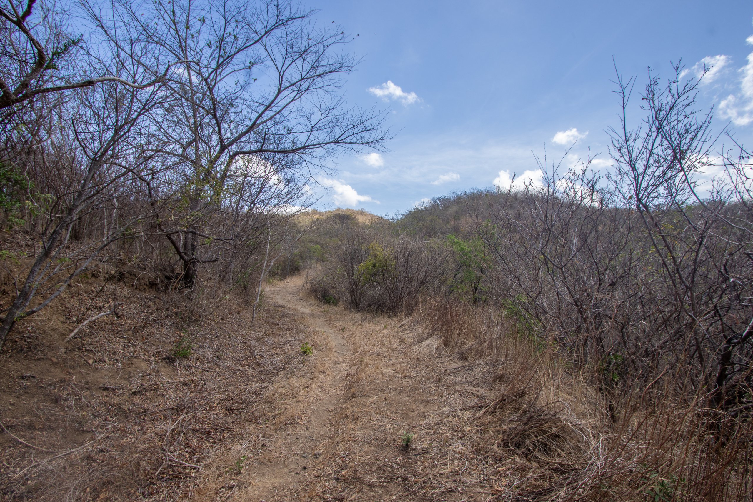 172 Acres close to Popoyo Beach - Image 4