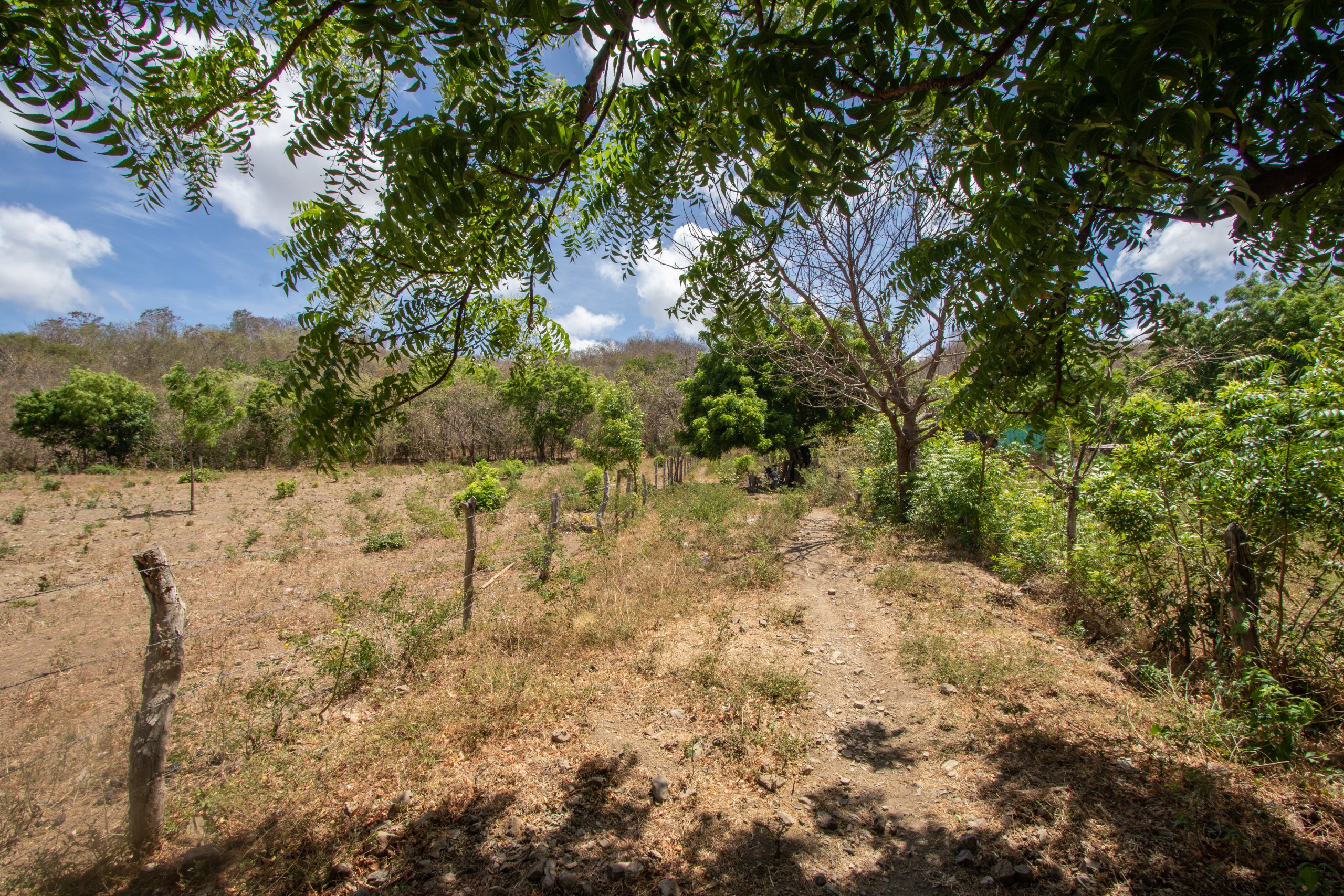 172 Acres close to Popoyo Beach - Image 5