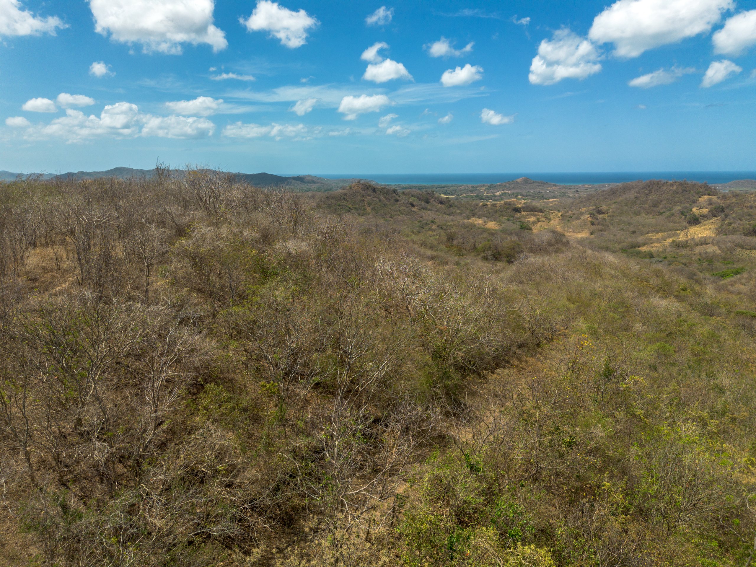 172 Acres close to Popoyo Beach - Image 6