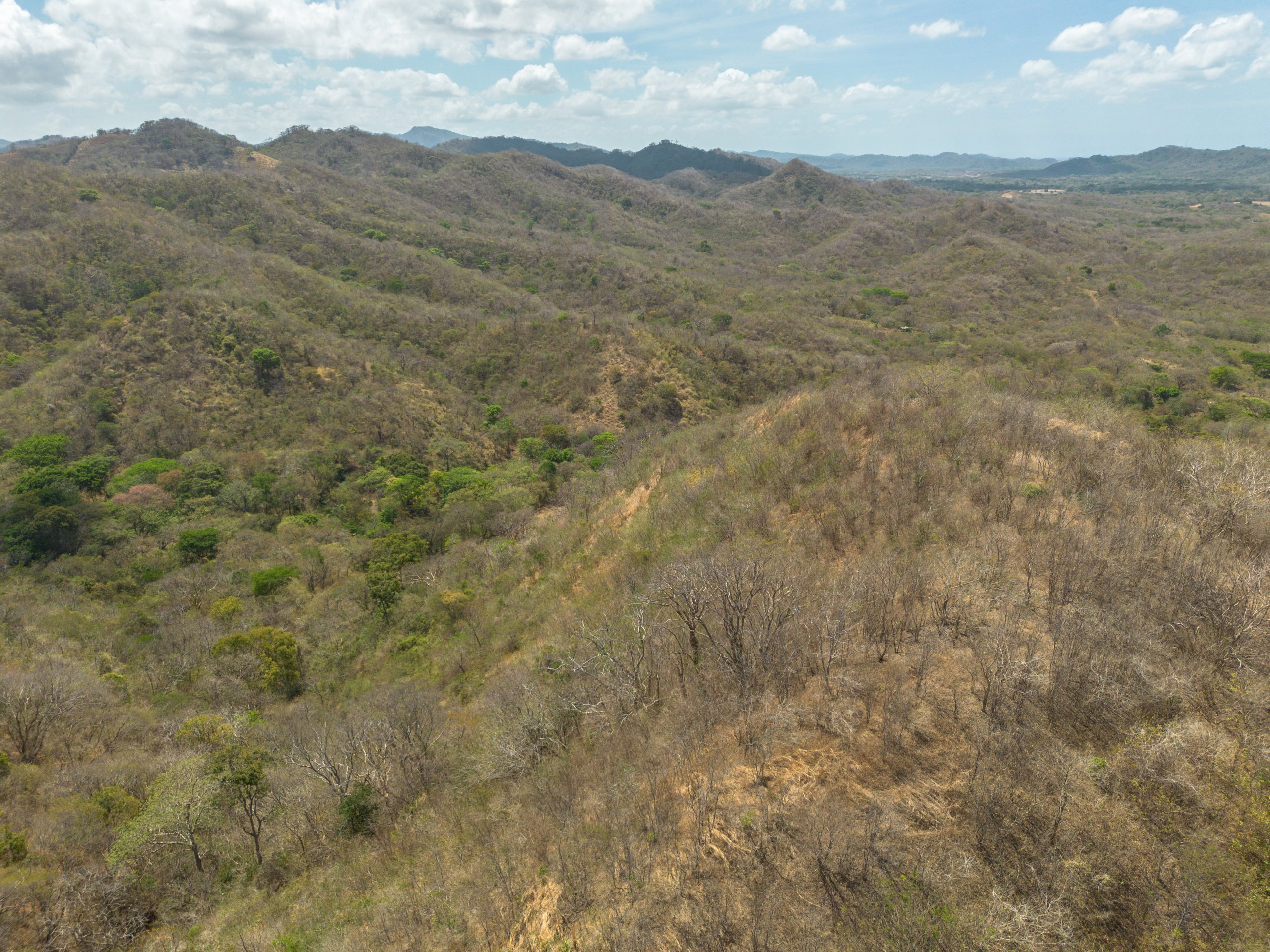 172 Acres close to Popoyo Beach - Image 9
