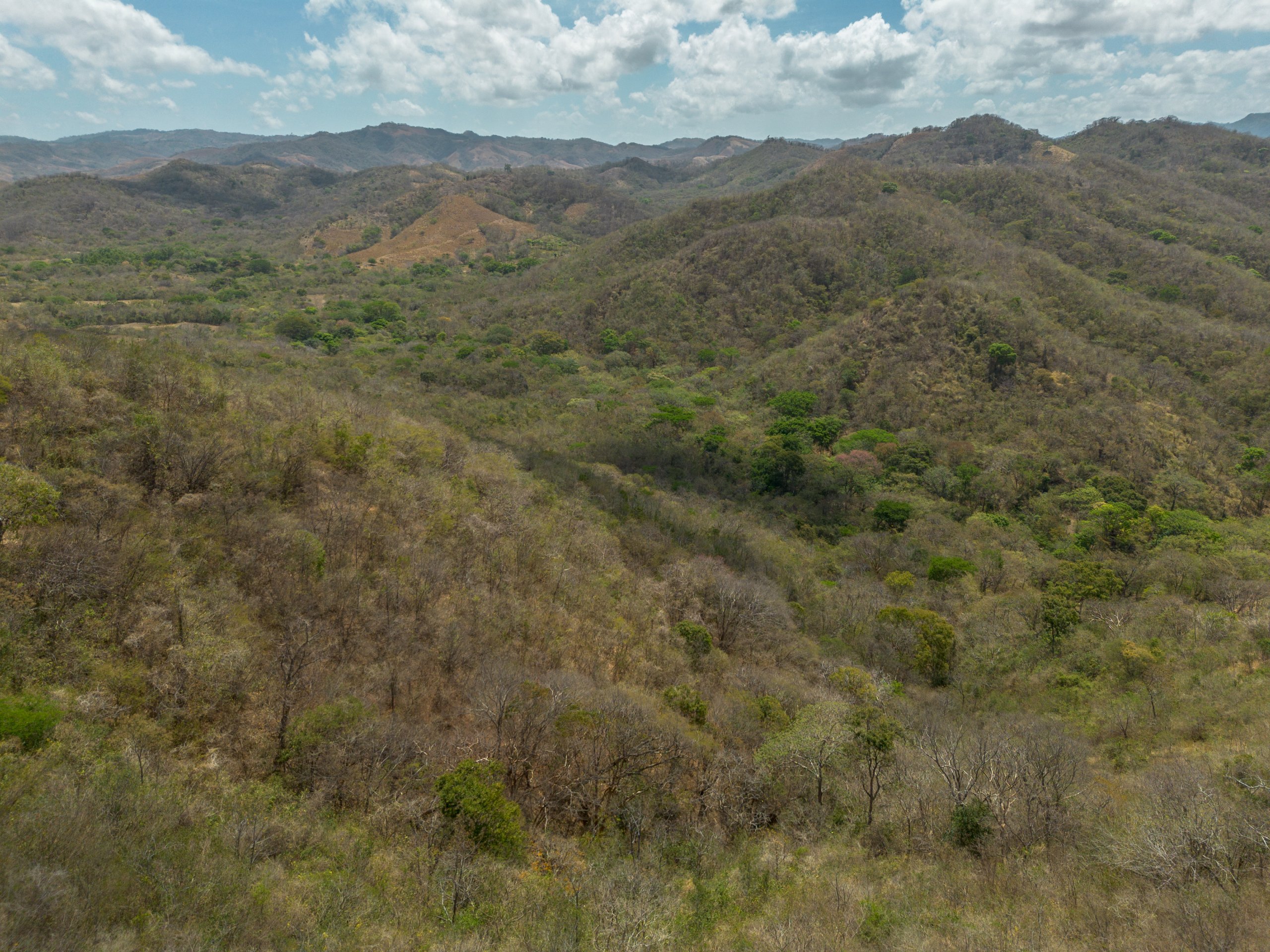 172 Acres close to Popoyo Beach - Image 10