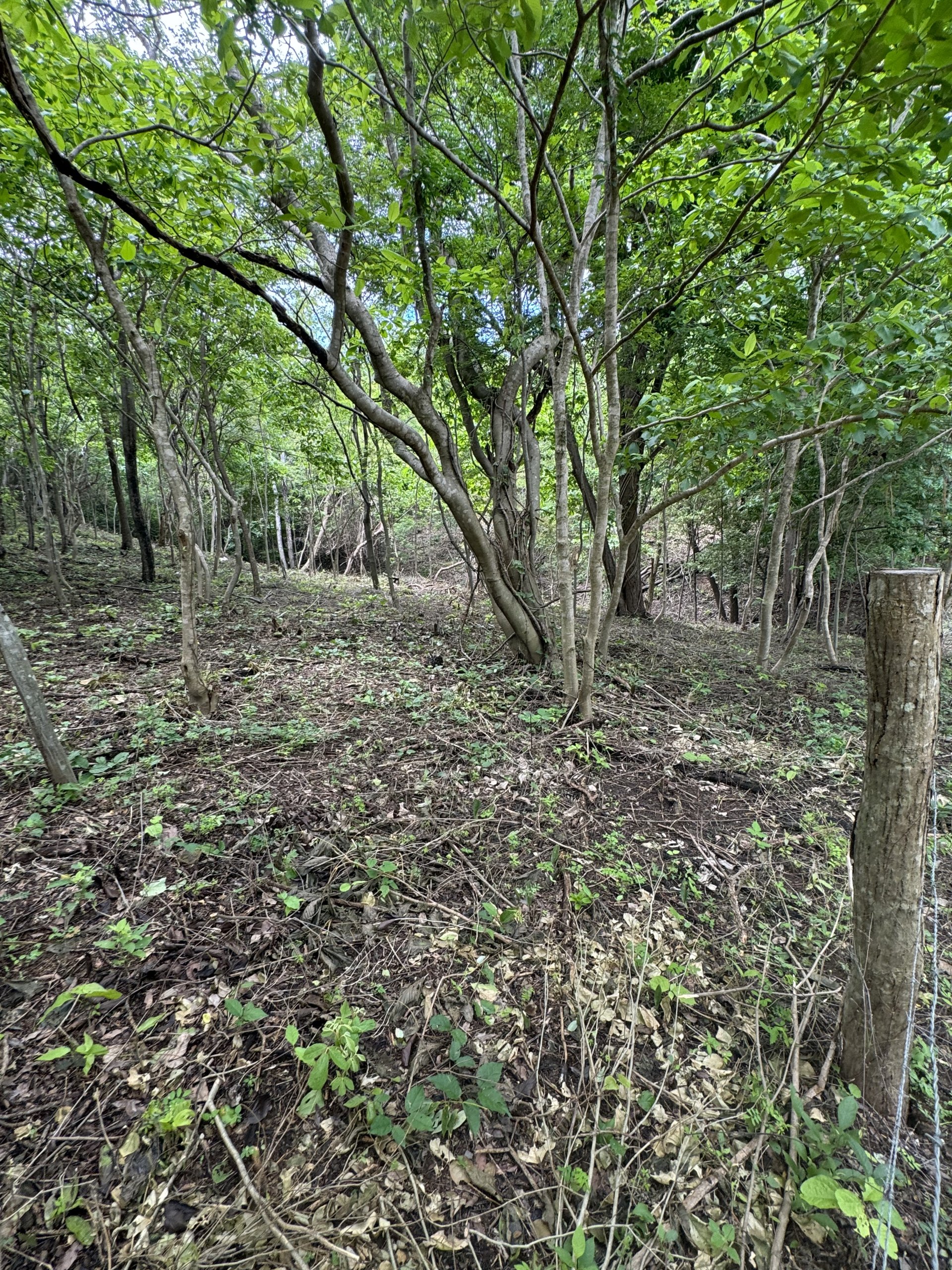 Walk to the Beach Lot ready for a Home to be built - Image 5