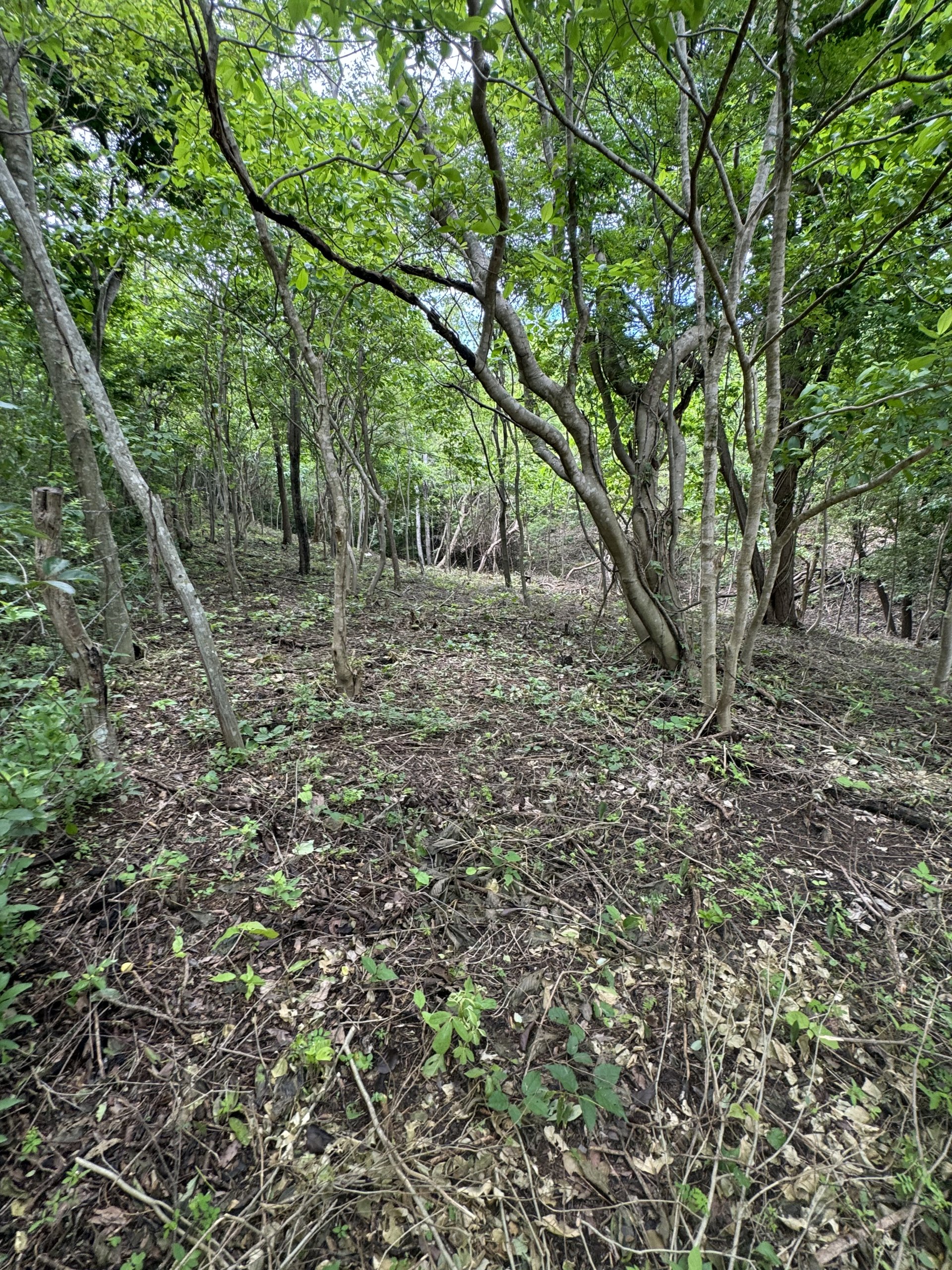 Walk to the Beach Lot ready for a Home to be built - Image 4