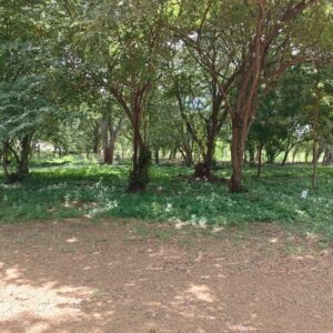 SOLD - Resale Lot B15 in Bosques Del Mar