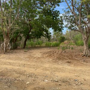 Exceptional and Spacious 2 Acre Lot near Playa Remanso