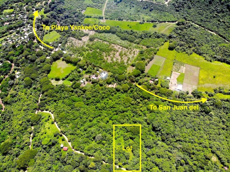 Price Slashed on Lot 51! Your Dream Escape Near San Juan del Sur Awaits!