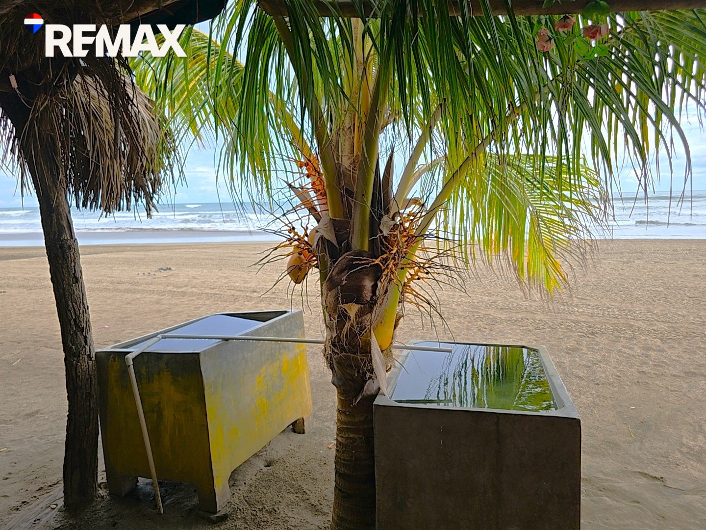 🌴Beachfront Bar & Restaurant + Titled Lot🌴 - Image 18