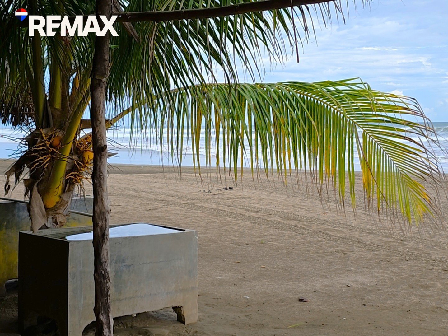 🌴Beachfront Bar & Restaurant + Titled Lot🌴 - Image 20