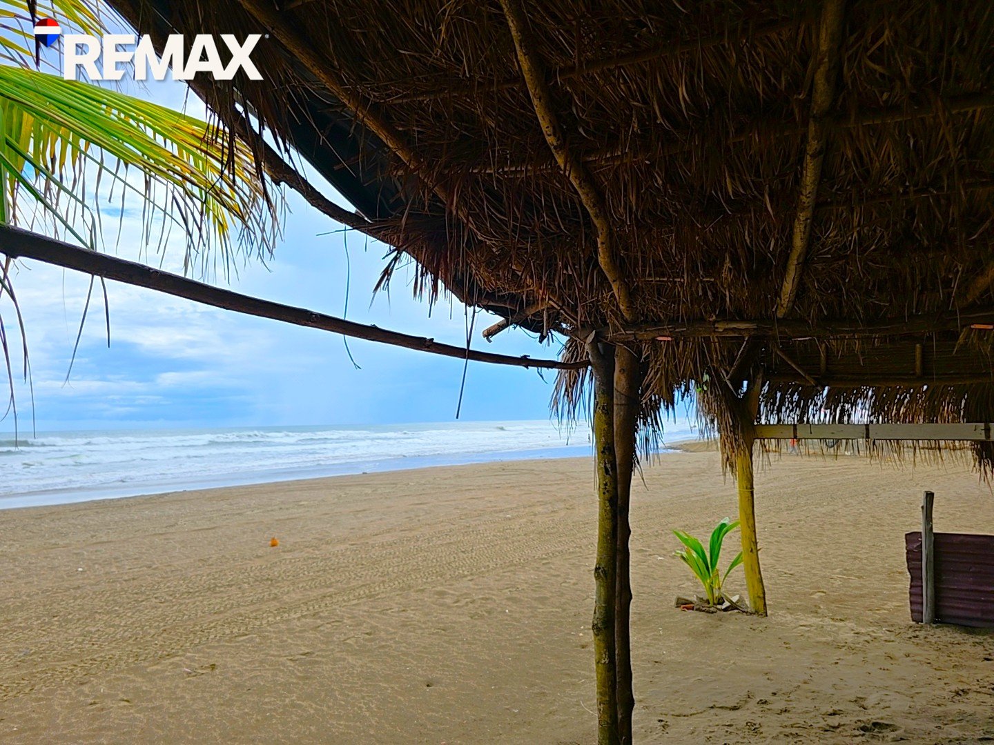 🌴Beachfront Bar & Restaurant + Titled Lot🌴 - Image 21