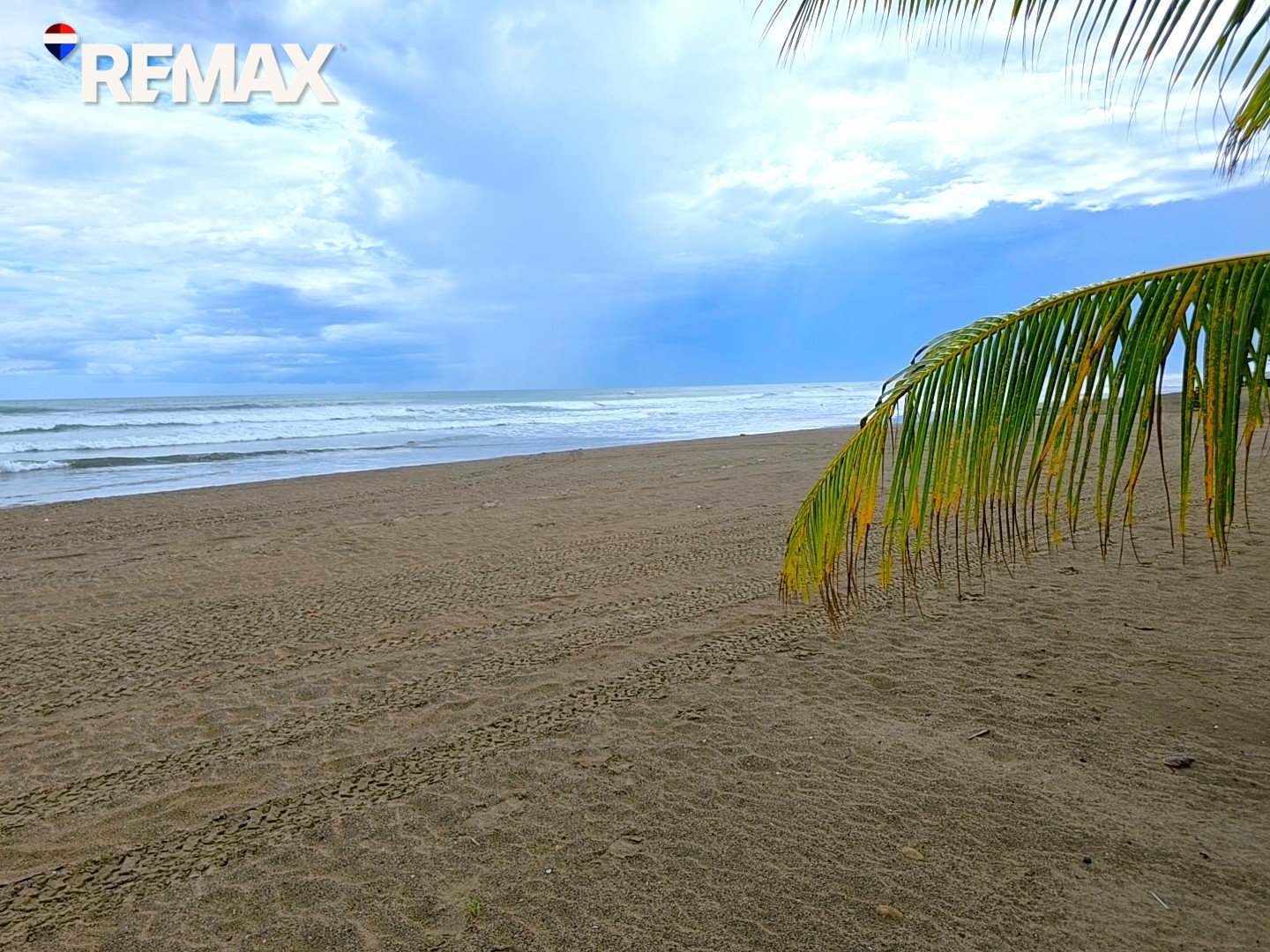 🌴Beachfront Bar & Restaurant + Titled Lot🌴 - Image 23