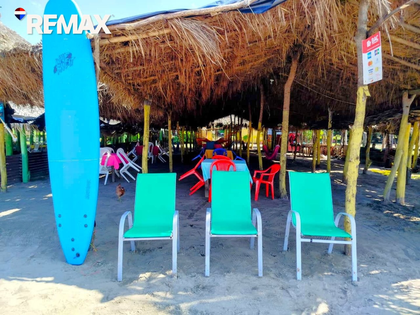 🌴Beachfront Bar & Restaurant + Titled Lot🌴 - Image 4