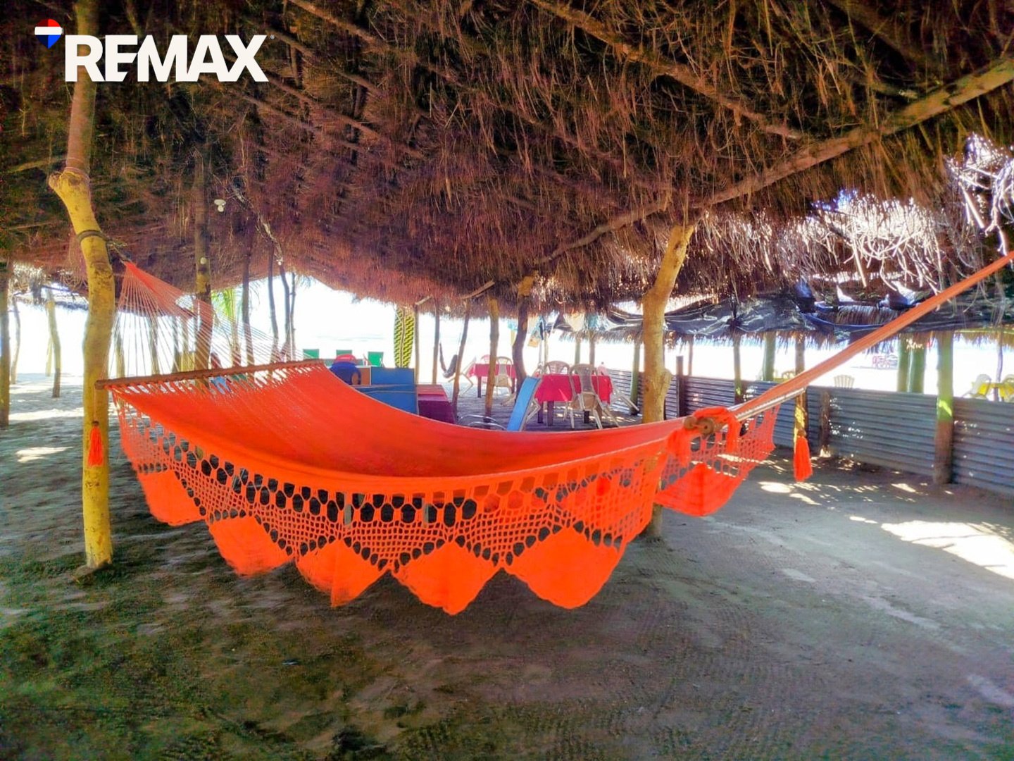 🌴Beachfront Bar & Restaurant + Titled Lot🌴 - Image 6