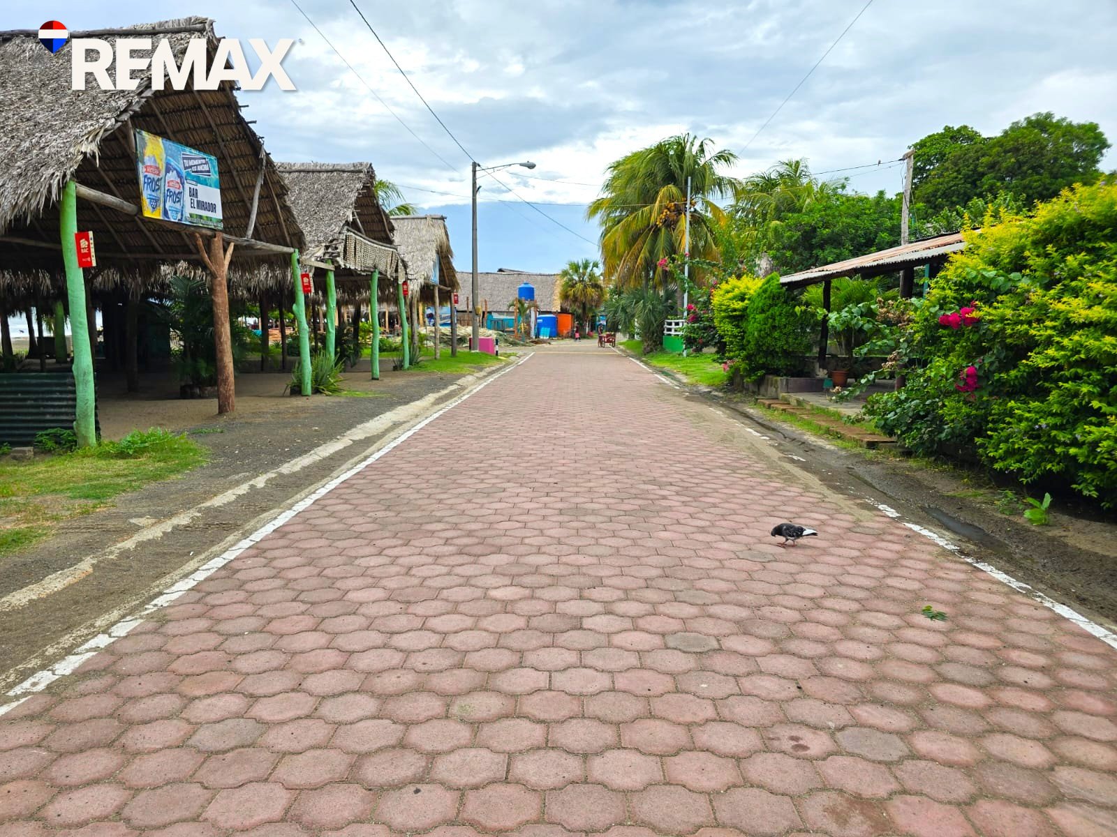 🌴Beachfront Bar & Restaurant + Titled Lot🌴 - Image 9